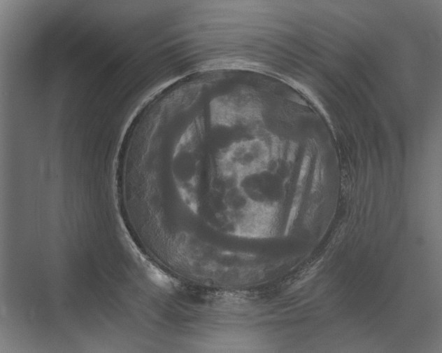 X0000073700995200608241412