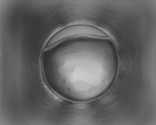 X0000073700998200608241412