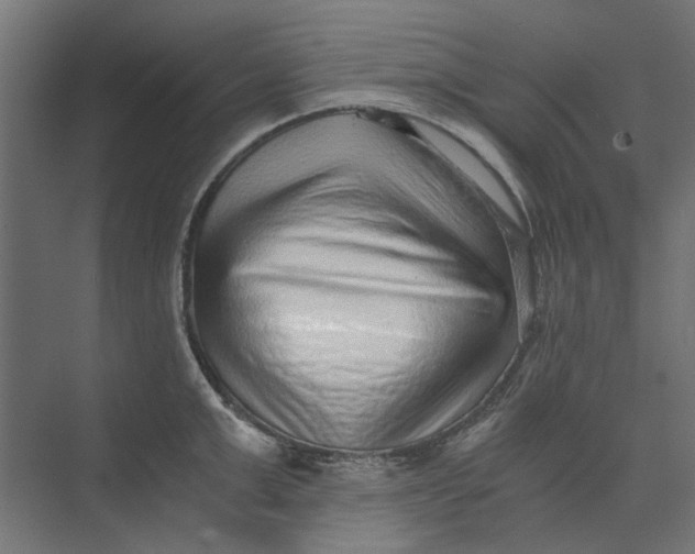 X0000073700999200608241412