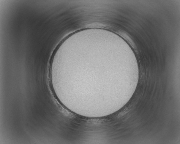 X0000073701000200608241412