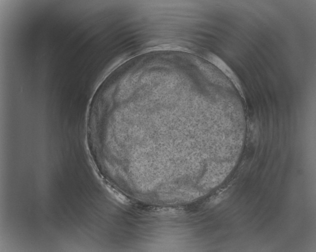 X0000073701002200608241412