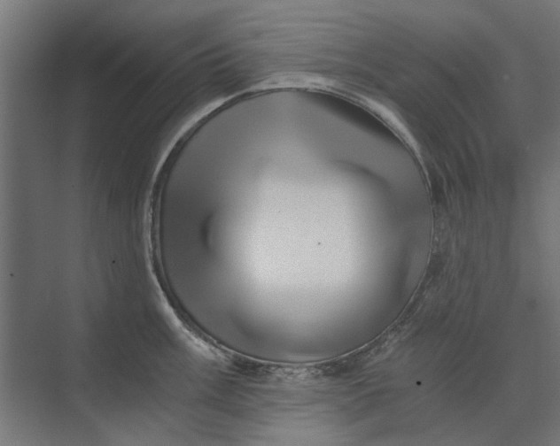 X0000073701003200608241412