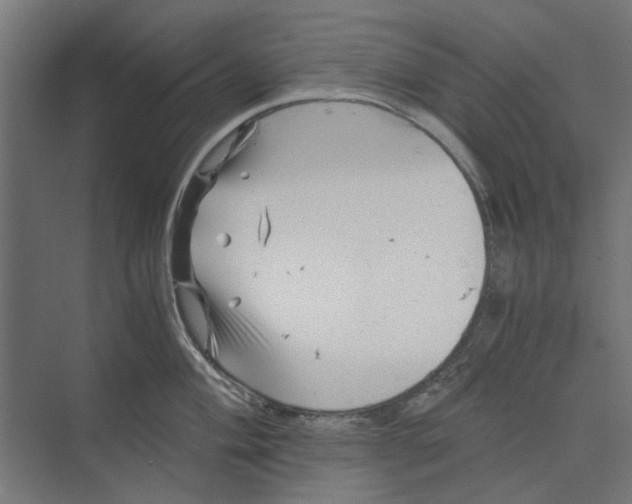 X0000073701004200608241412