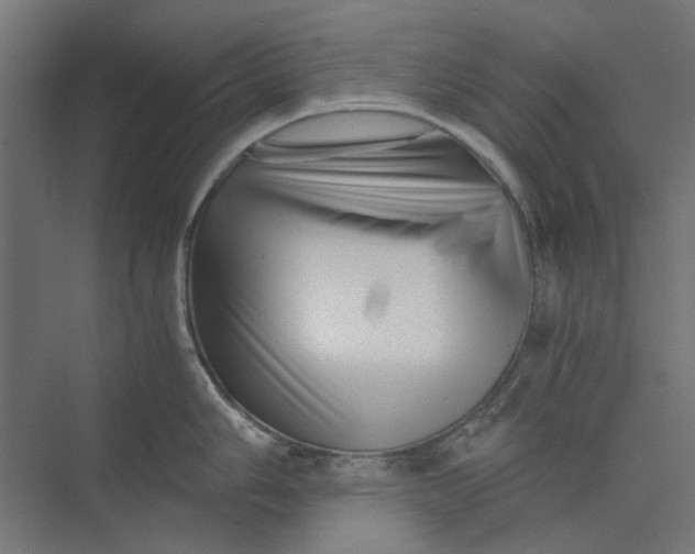 X0000073701006200608241412