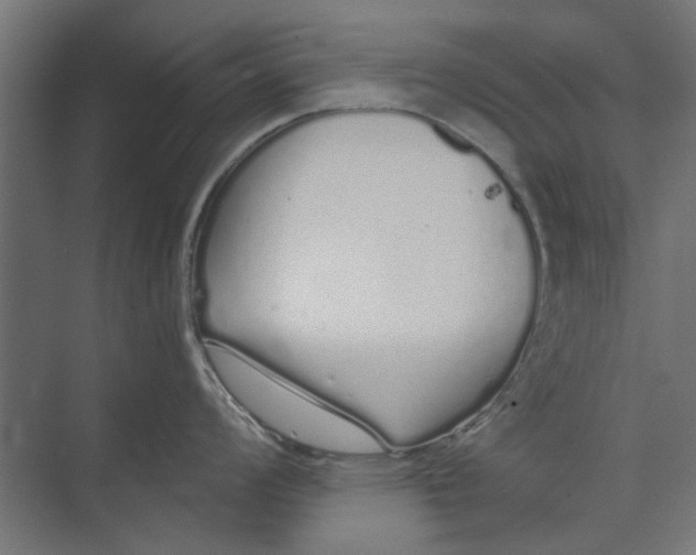 X0000073701008200608241412