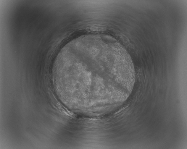 X0000073701009200608241411