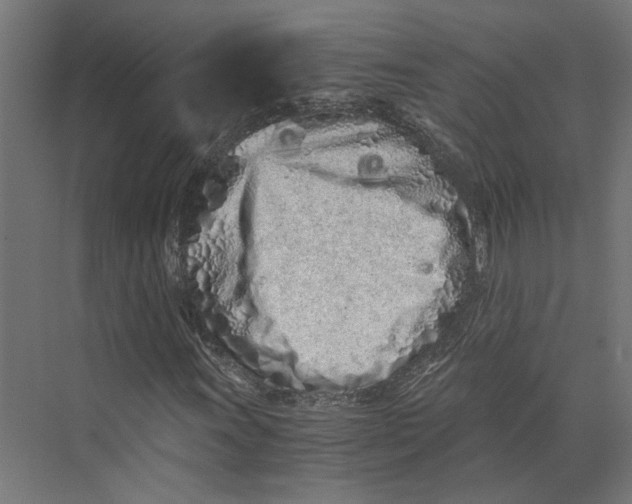 X0000073701011200608241411