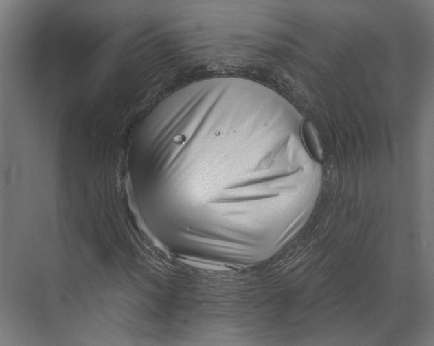 X0000073701012200608241411