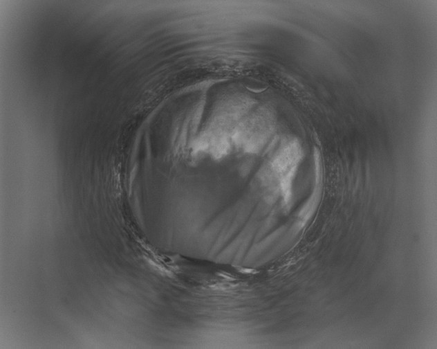 X0000073701013200608241411