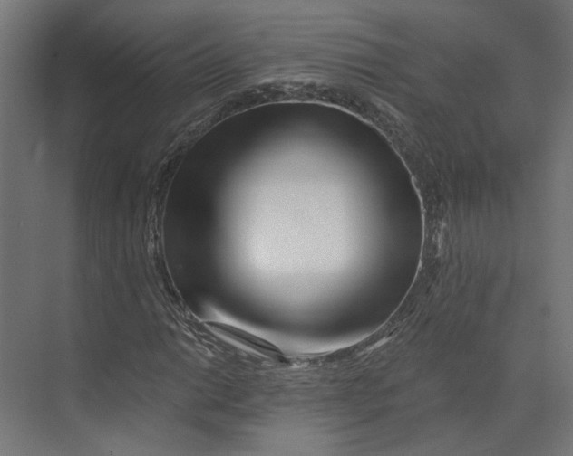 X0000073701014200608241411