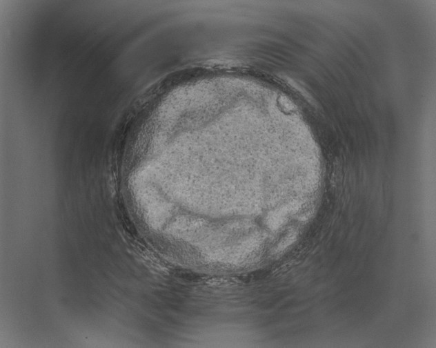 X0000073701015200608241411