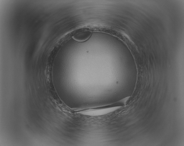 X0000073701016200608241411