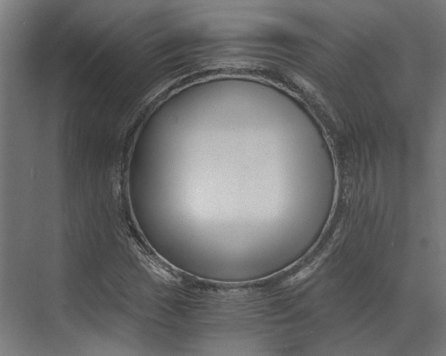 X0000073701017200608241411