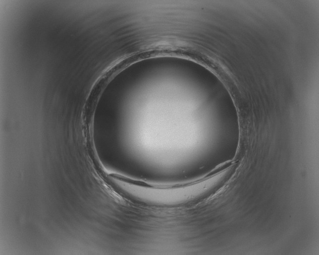 X0000073701018200608241411