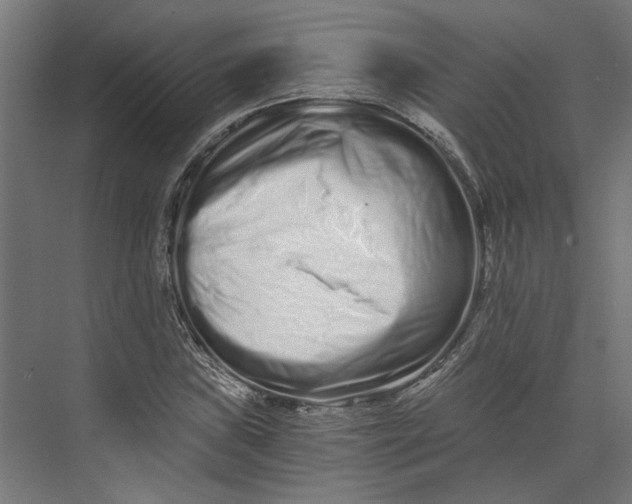 X0000073701019200608241411