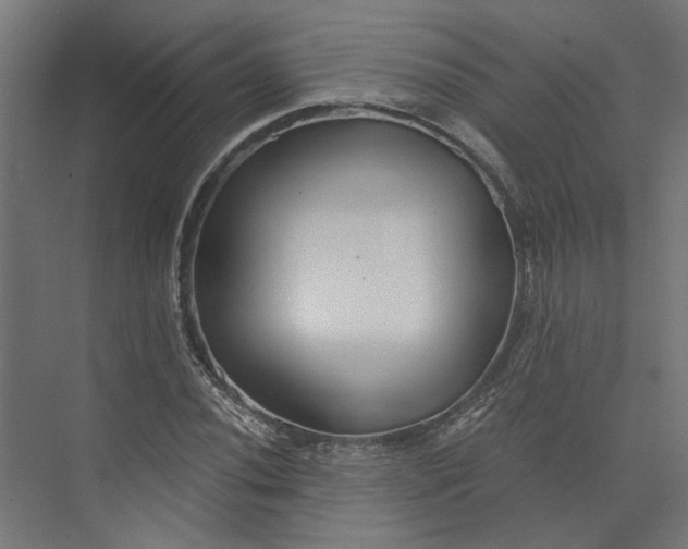 X0000073701020200608241411