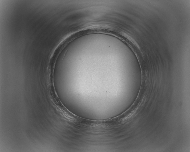 X0000073701021200608241411