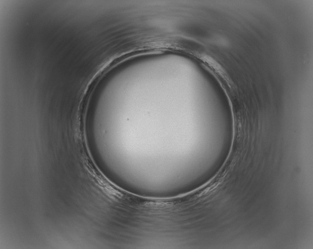 X0000073701023200608241411