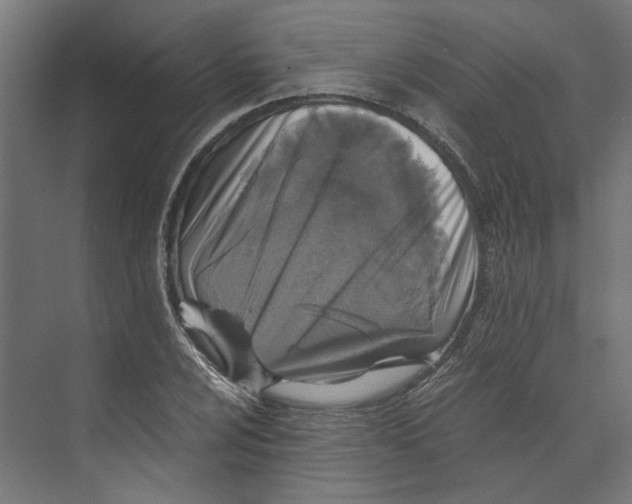 X0000073701024200608241411