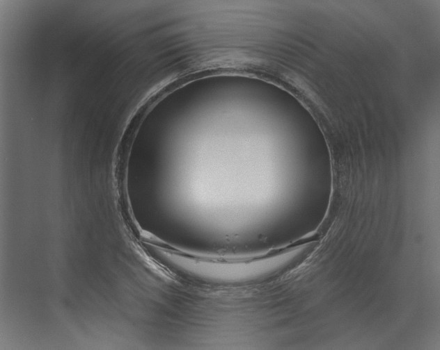 X0000073701026200608241412