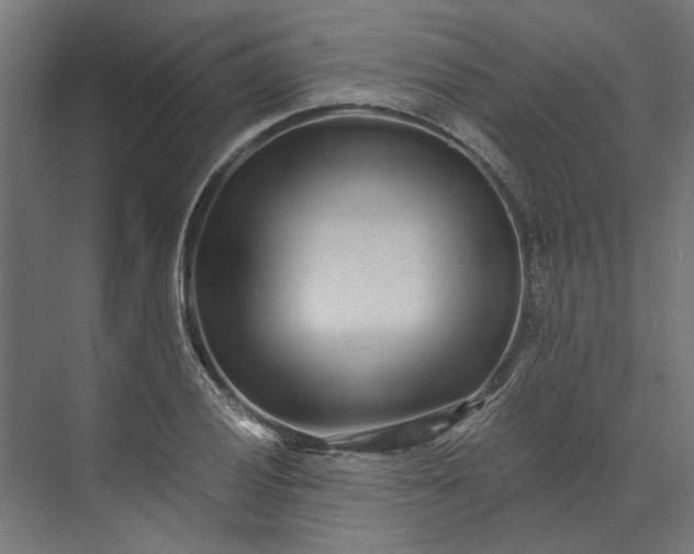 X0000073701028200608241412