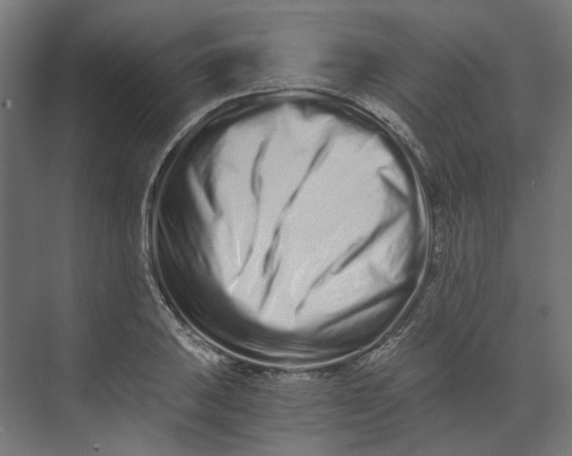 X0000073701031200608241412