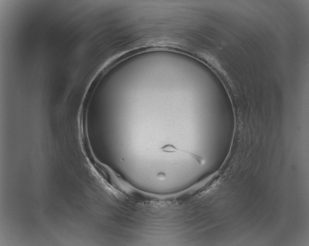 X0000073701032200608241412