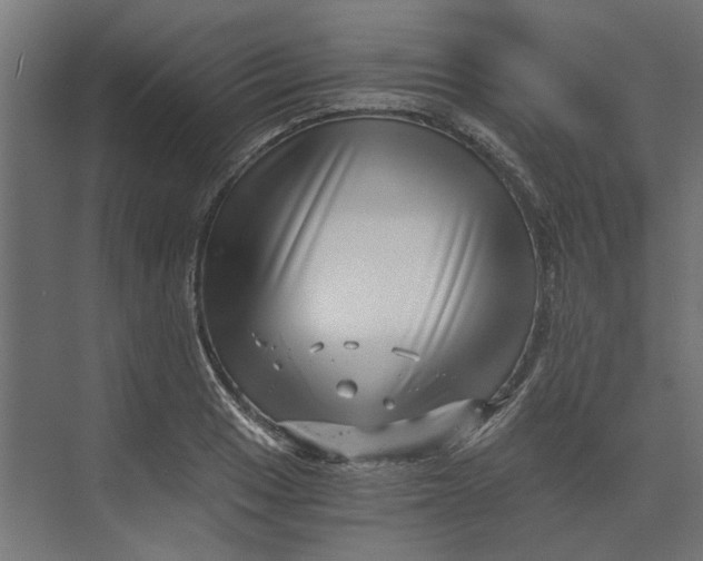 X0000073701033200608241412