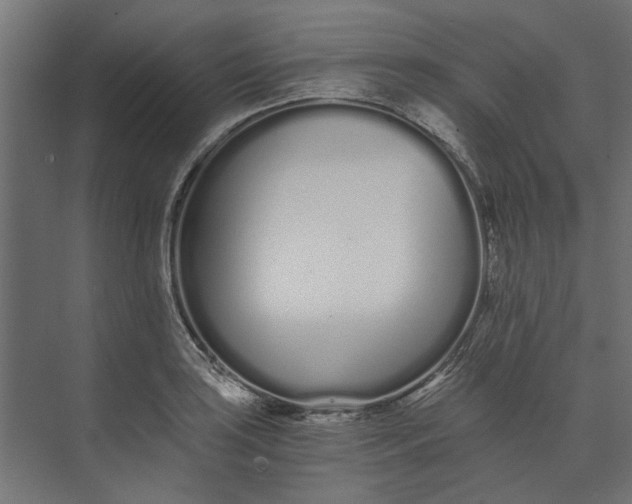 X0000073701035200608241412