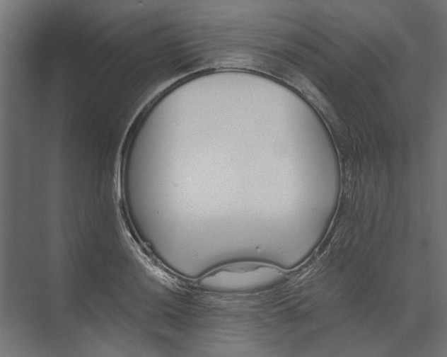 X0000073701036200608241412