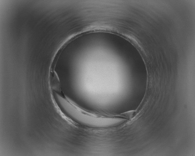 X0000073701038200608241412