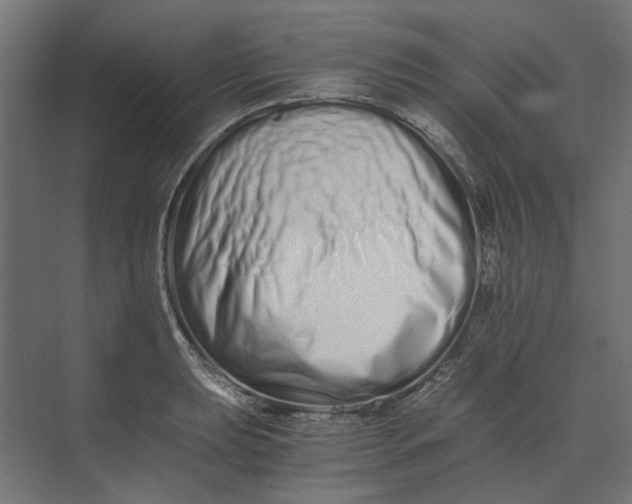 X0000073701039200608241412