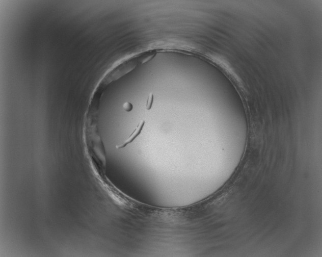 X0000073701040200608241412