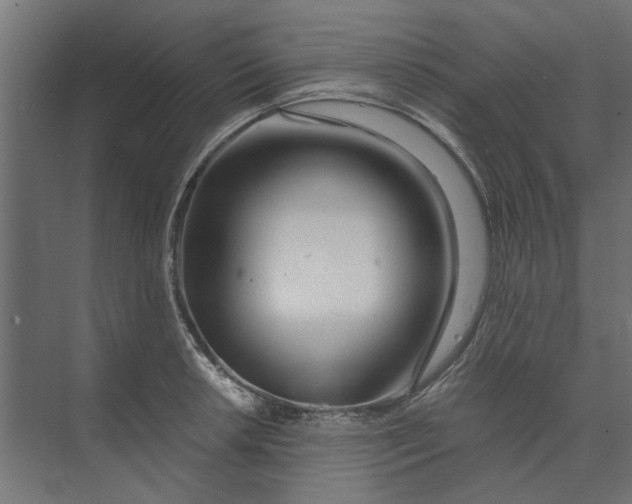 X0000073701042200608241412