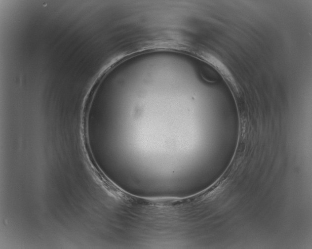 X0000073701043200608241412