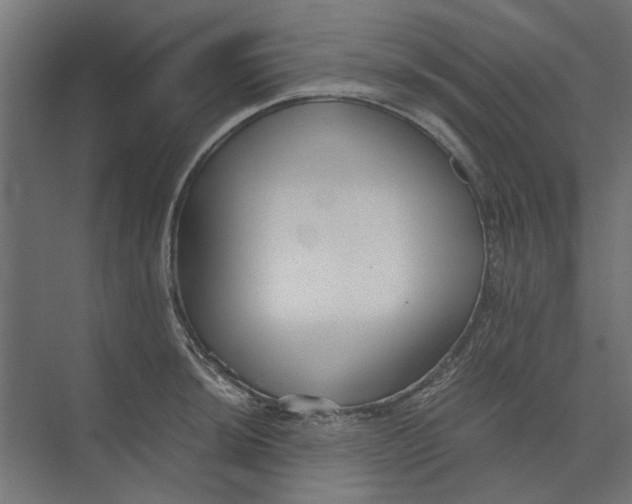 X0000073701044200608241412