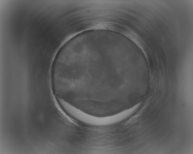 X0000073701045200608241412