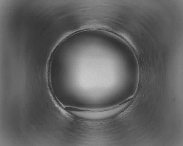 X0000073701046200608241412