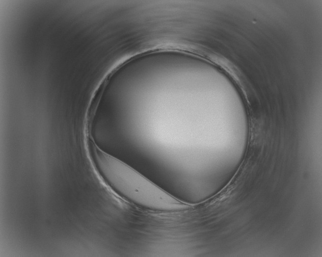 X0000073701048200608241412