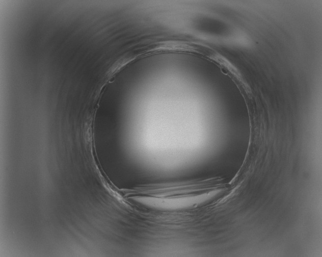 X0000073701049200608241412