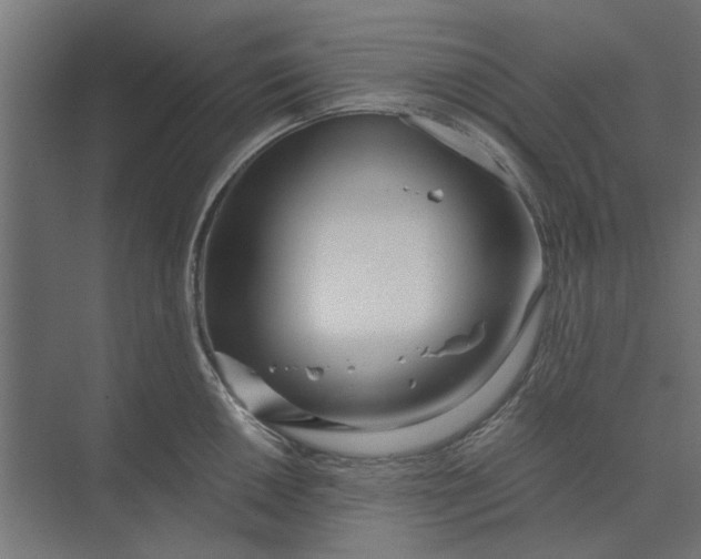 X0000073701050200608241412