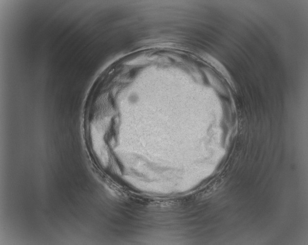 X0000073701051200608241412