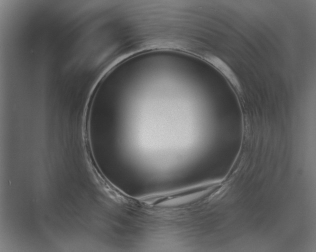 X0000073701052200608241412