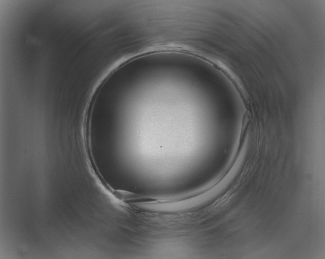 X0000073701054200608241412