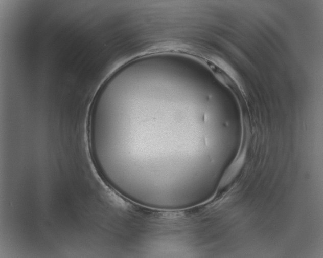 X0000073701055200608241412