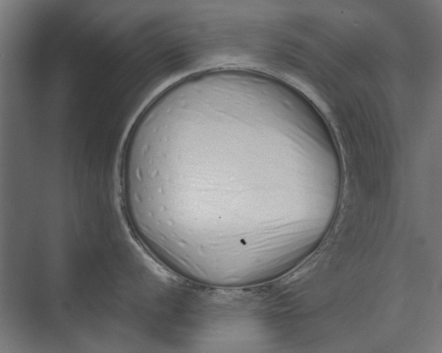 X0000073701056200608241412