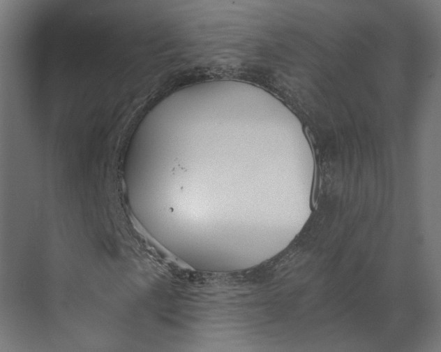 X0000073701057200608241411