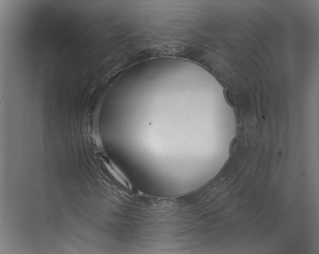 X0000073701058200608241411