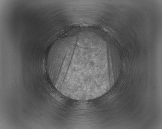 X0000073701060200608241411