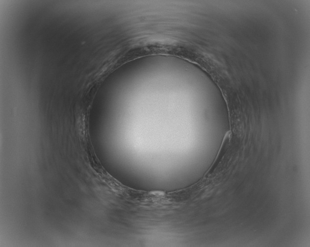 X0000073701061200608241411